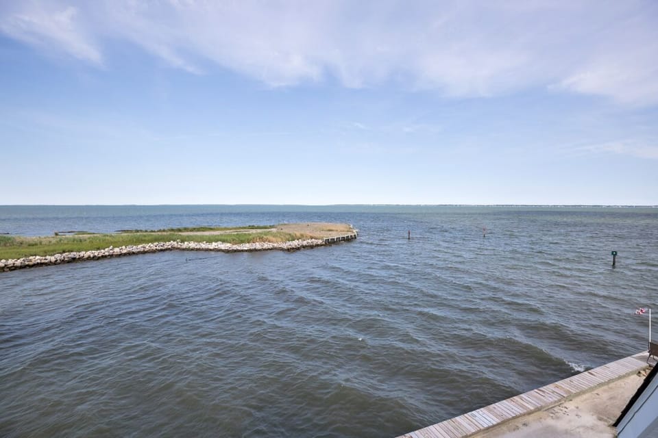 Watch Herons and Egrets fish for their morning meal.