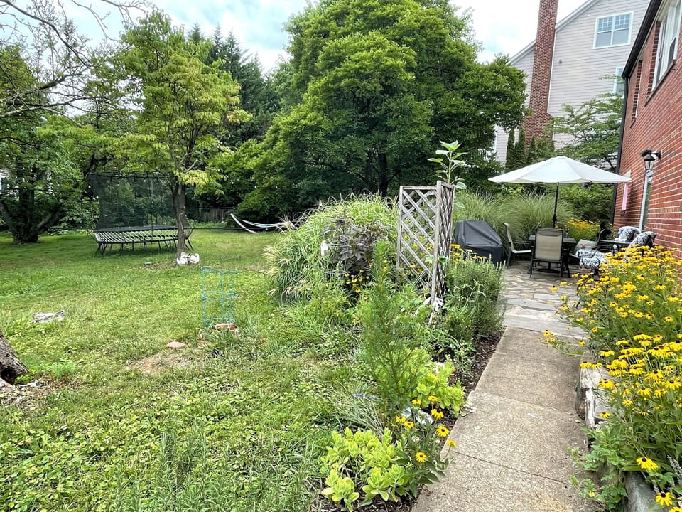 Backyard, guest entryway, grill, outdoor patio