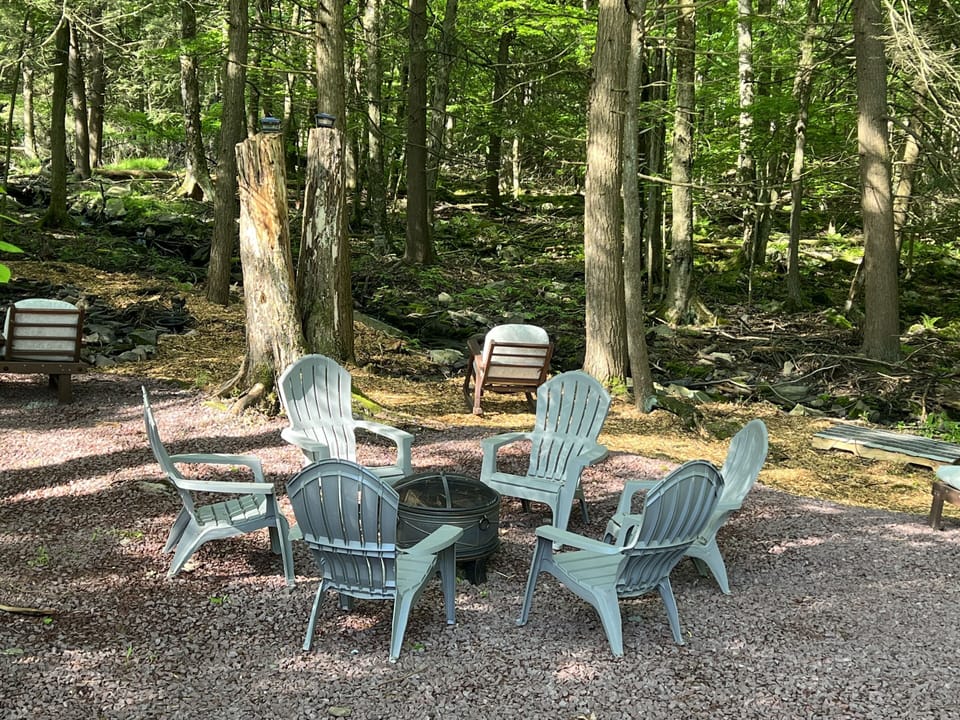 Firepit in Backyard