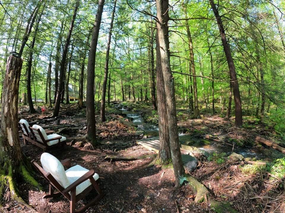 Stream in Backyard (excellent view)