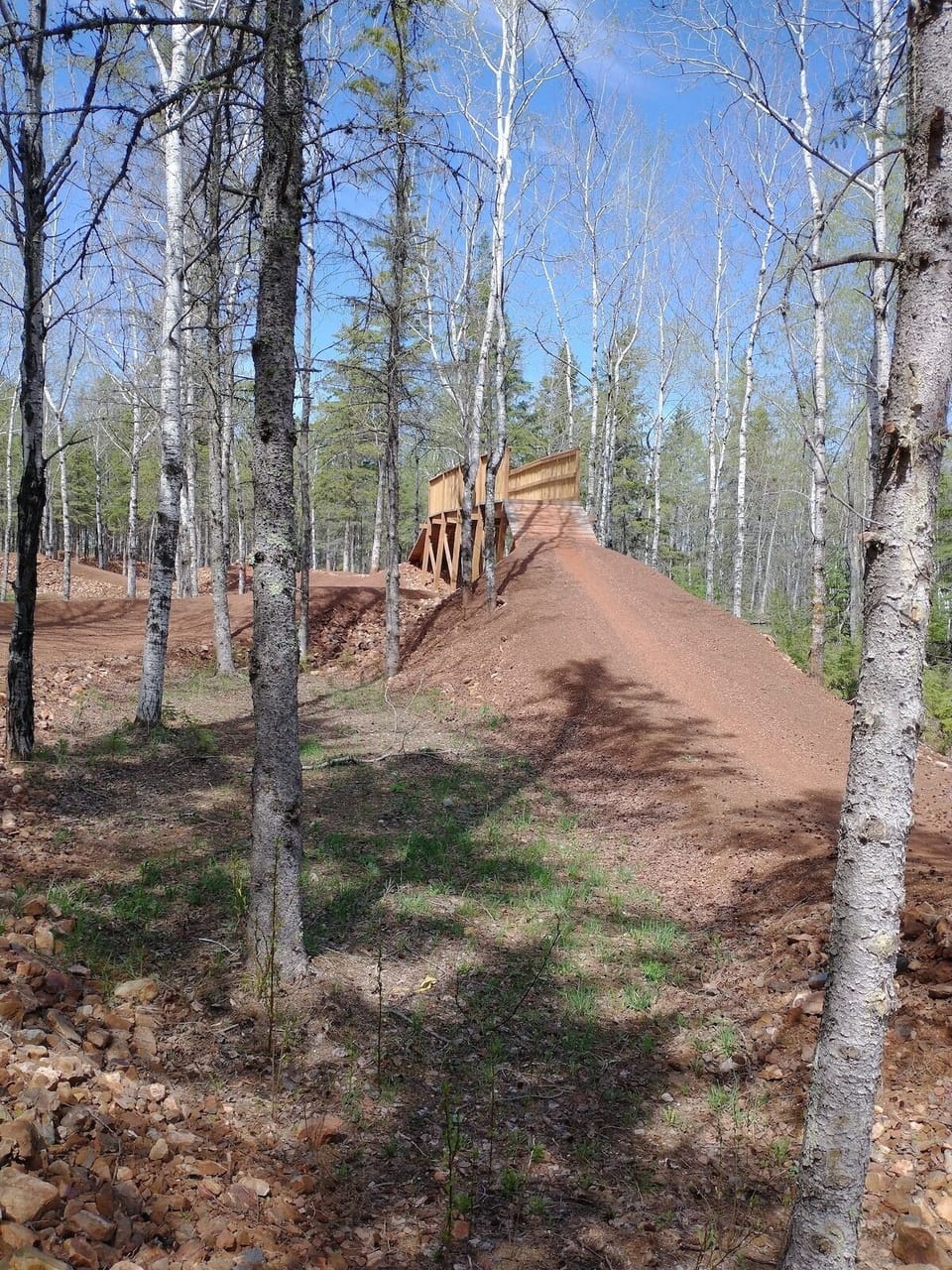 Tioga Mountain Bike trail