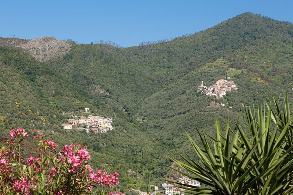 Outdoor, Scenic View