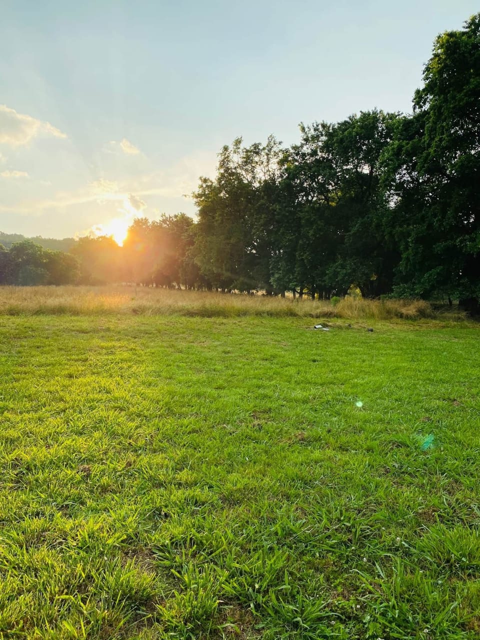 The Back Fields are wonderful to walk or just view from the back patio or sunroom.