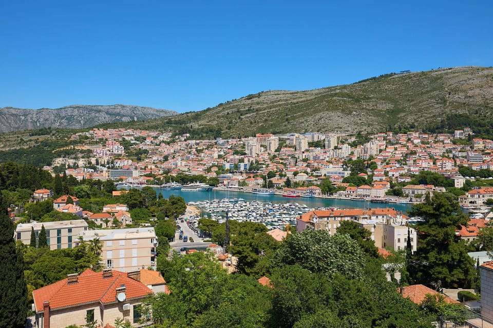 View from terrace