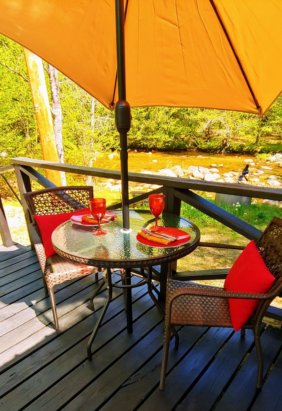 Dinner on the deck overlooking the river.
