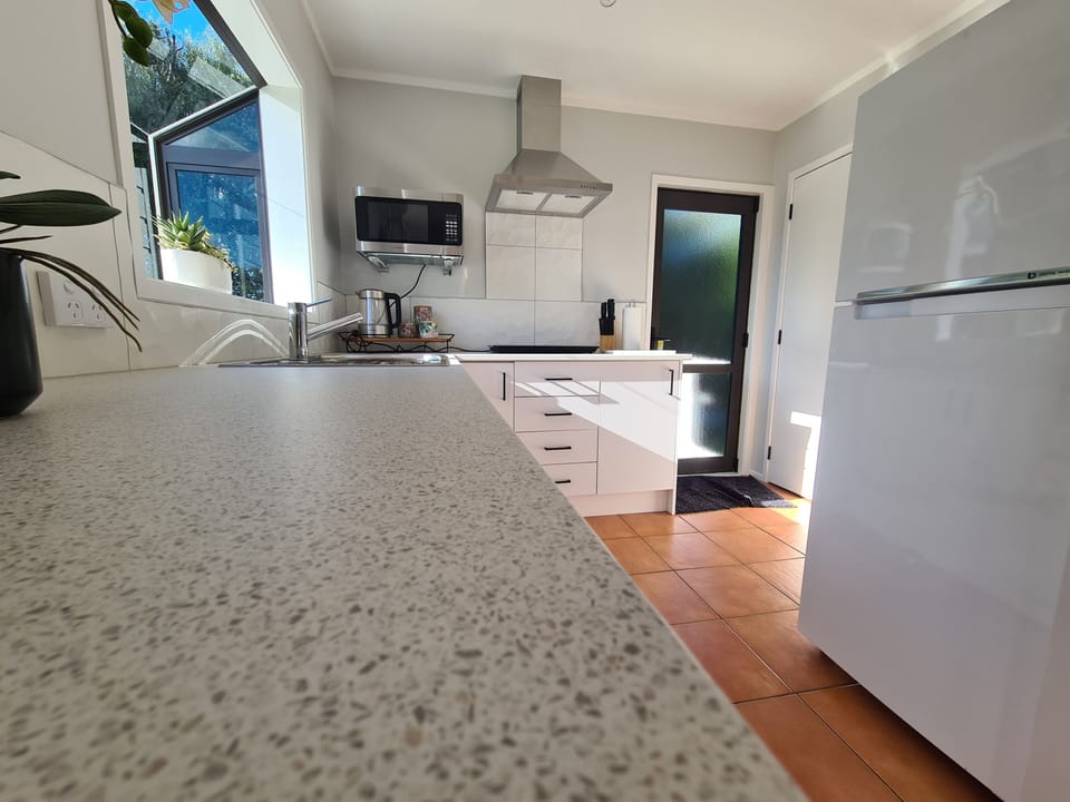 Kitchen space with a good sized fridge/freezer, with back door to close line