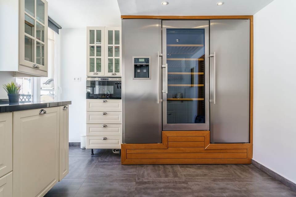 American fridge with wine cellar