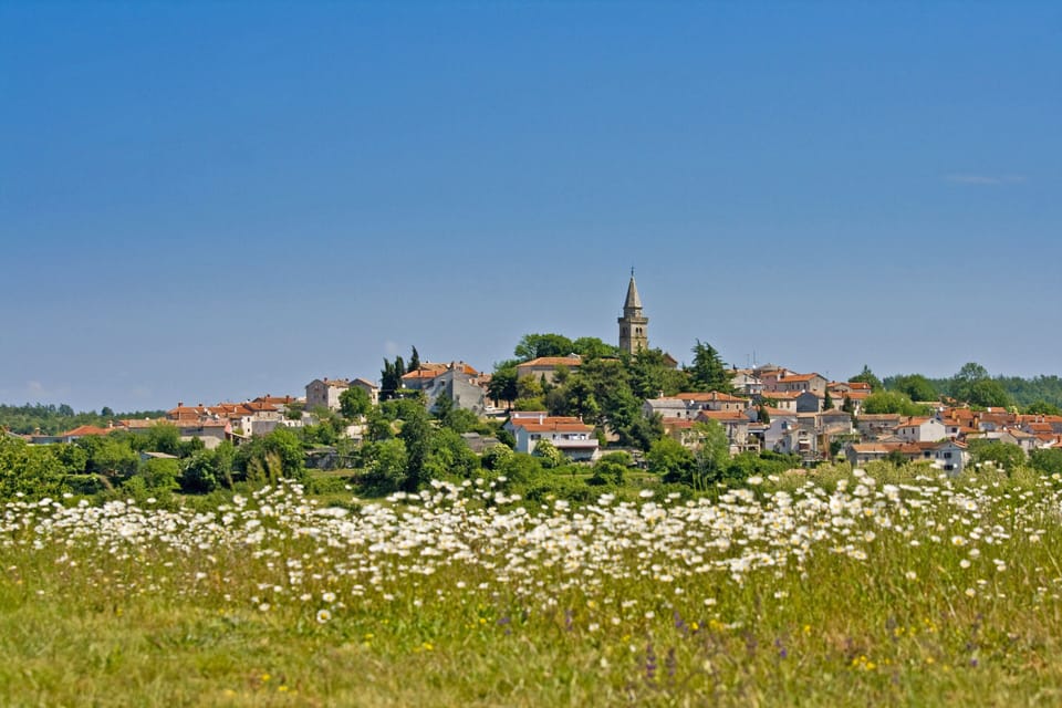 Žminj