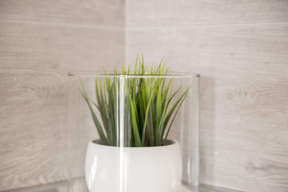 Kitchen area. decoration