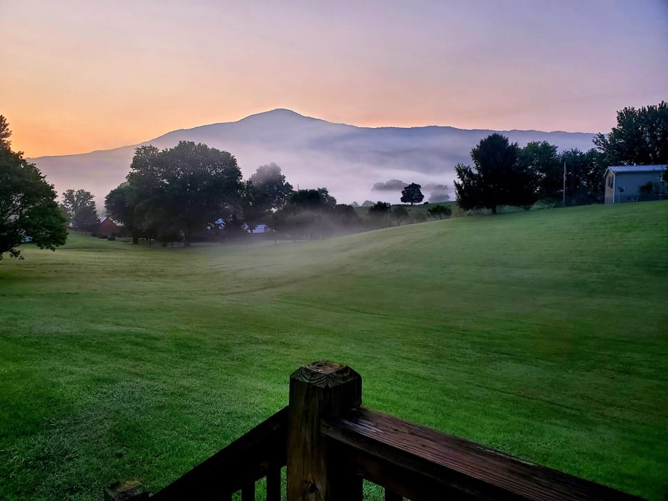 View of Cove Mountain from the back deck