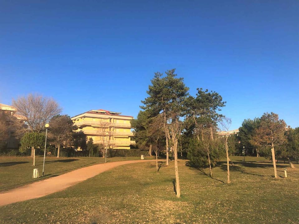 Miscellaneous
