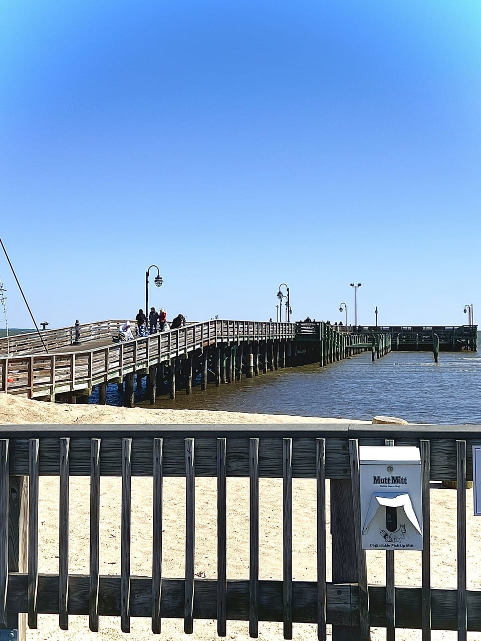 Pet friendly pier and boardwalk at North Beach