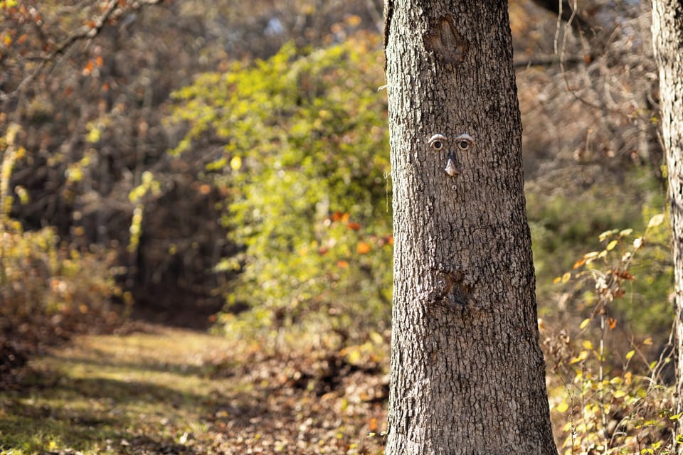 Access to another Trail