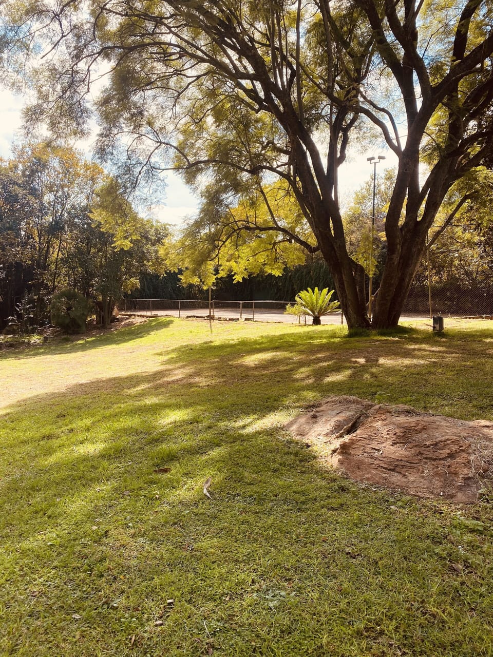 Property grounds