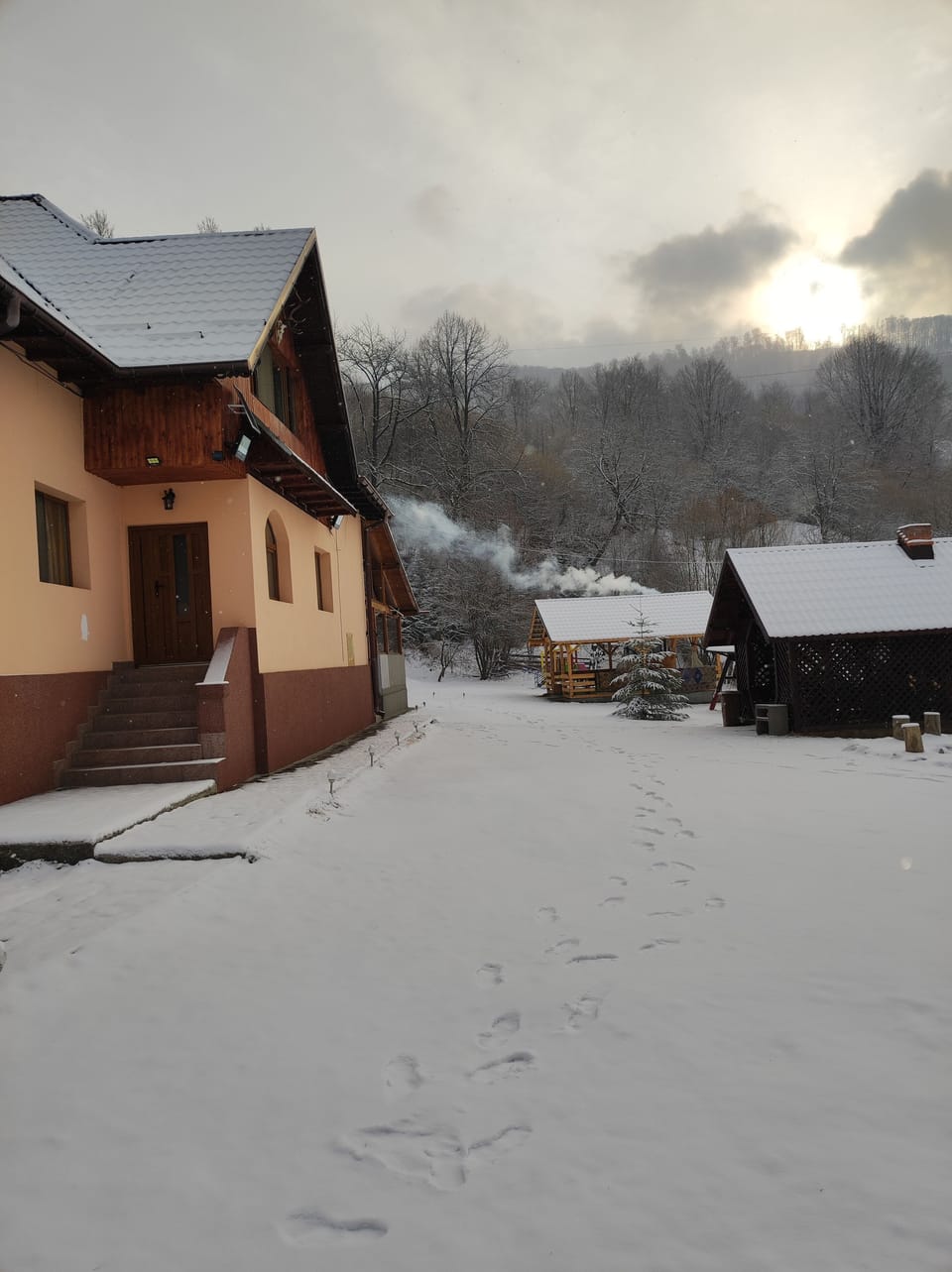 Exterior iarna. Curte mare, spațioasă.