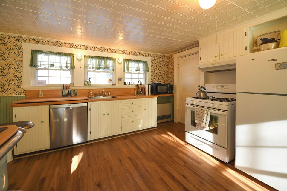 Kitchen counter, dishwasher, stove and fridge