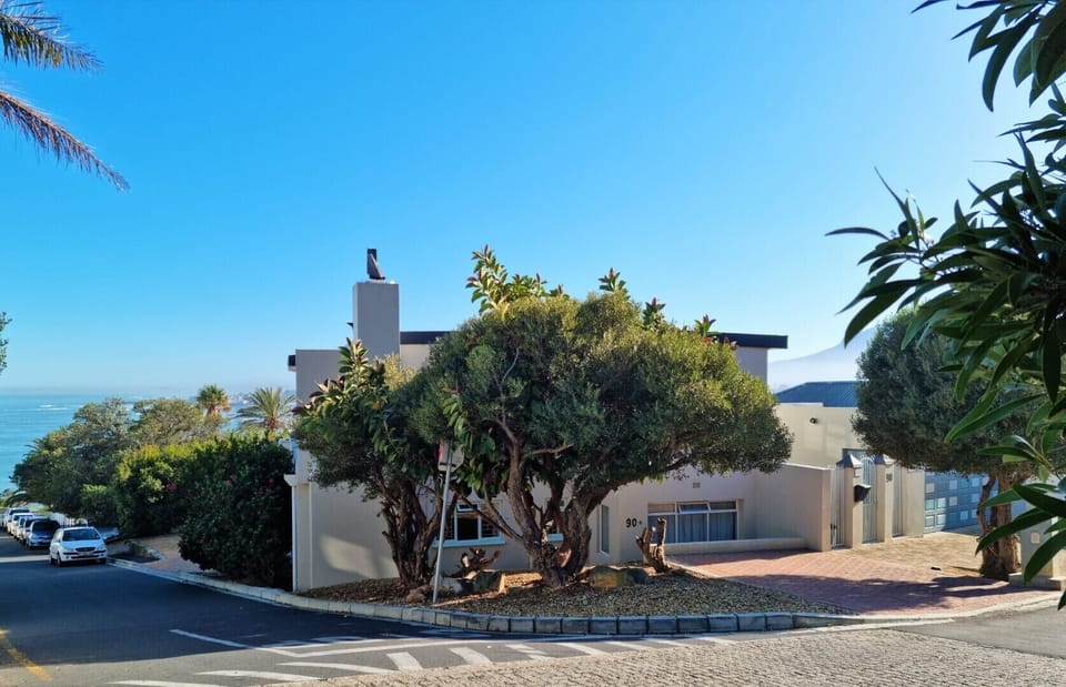 The road leading to the house from the beach 