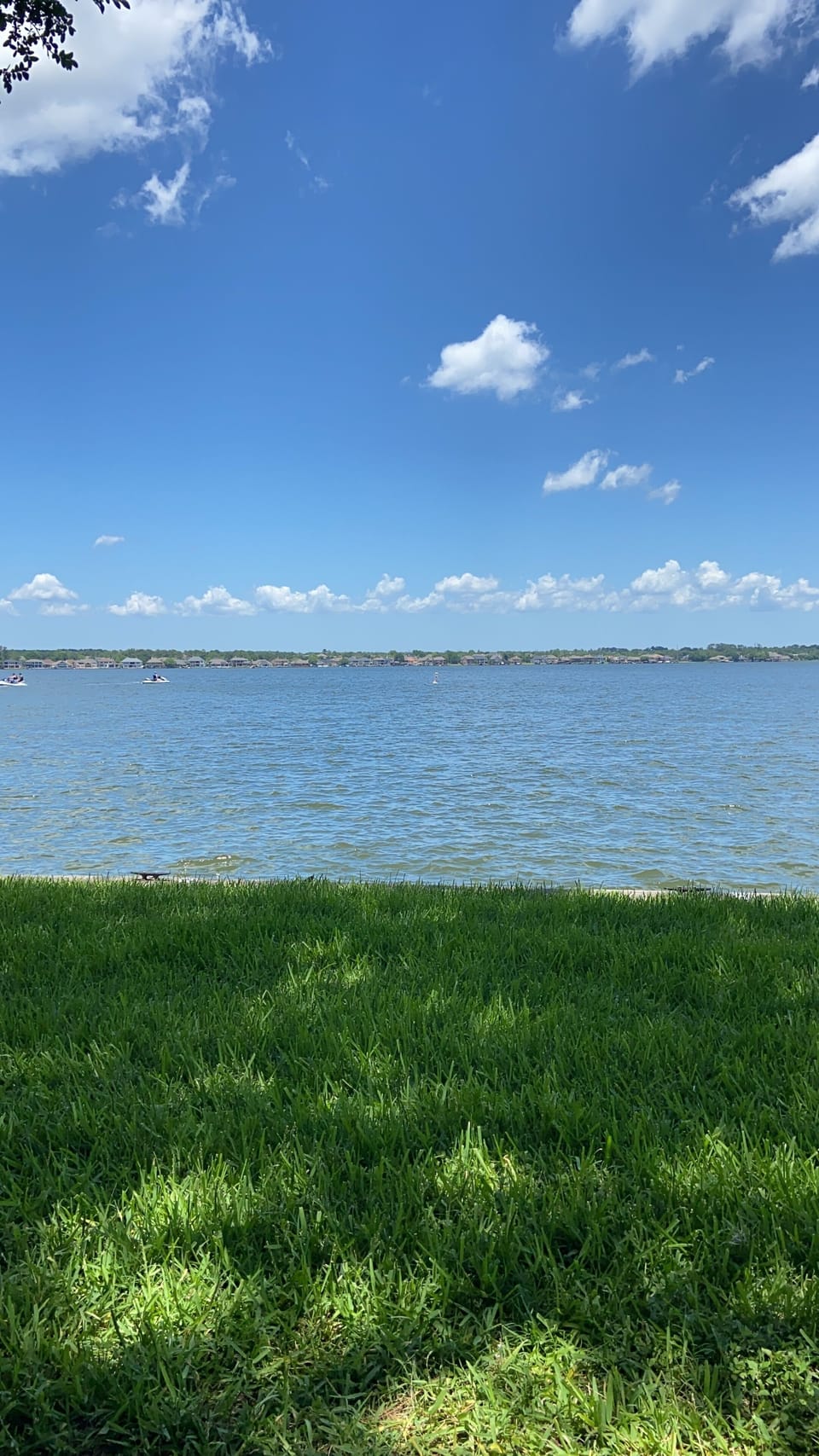 Lake view from behind the condo.