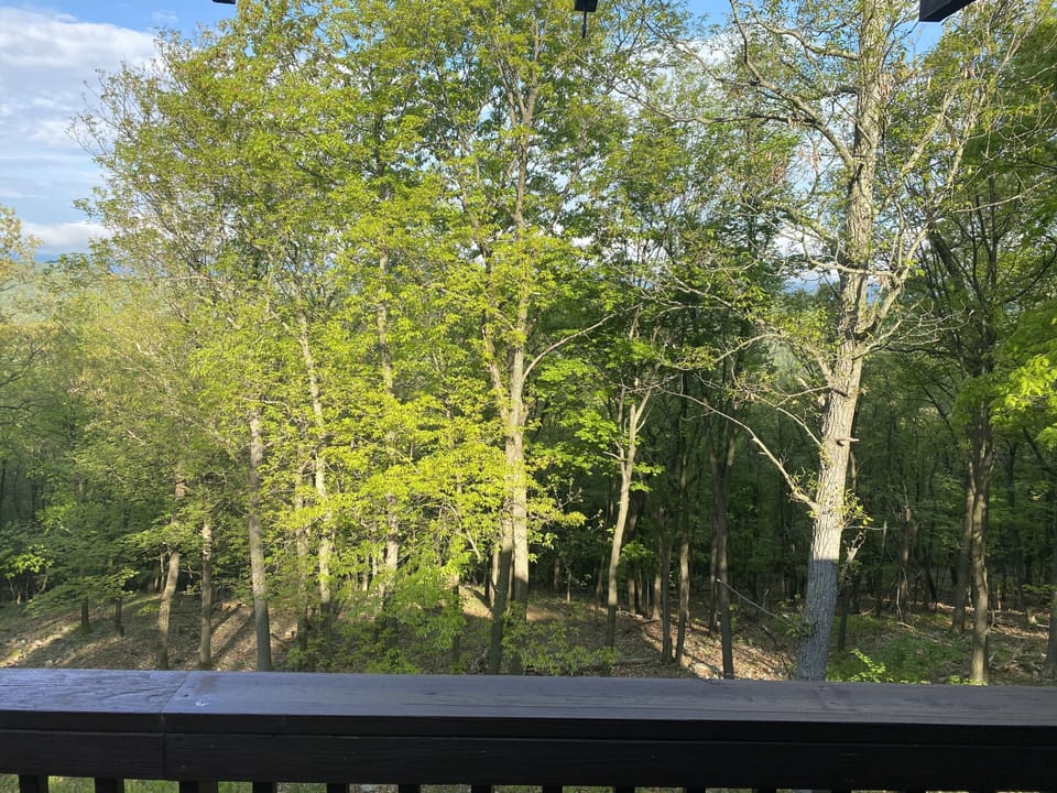 View from the deck and front of house