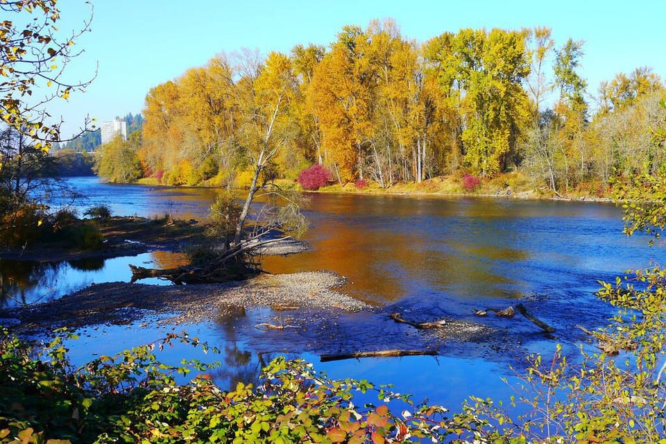 Easy access to the Willamette River and Alton Baker Park