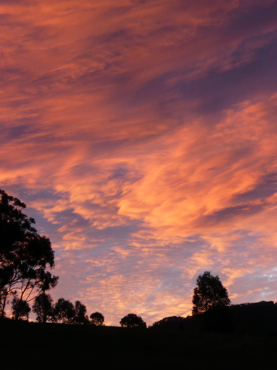 Sunset Clouds
