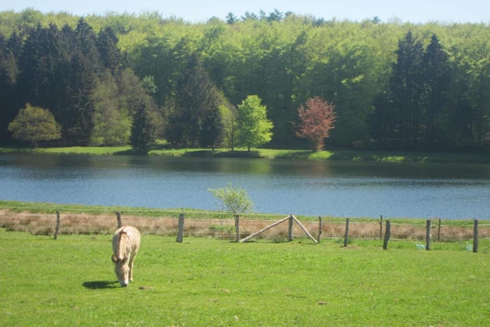 Region [summer] (>5 km)