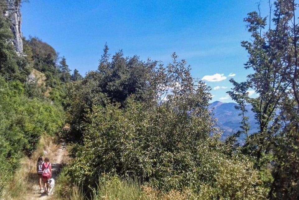 Region [summer] (>5 km)