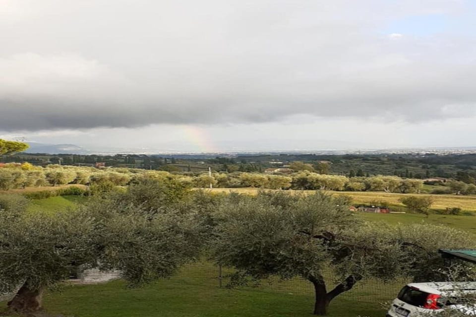 Region [summer] (>5 km)