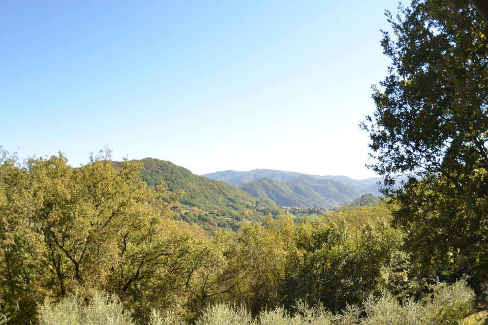 View from Holiday Home [summer]