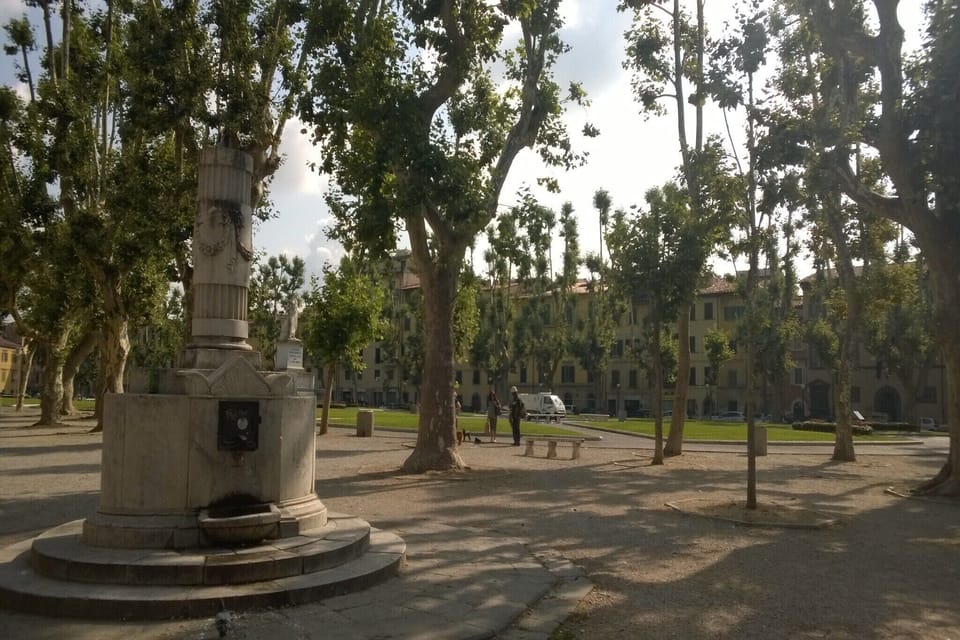 Immediate Surroundings [summer] (<1 km)