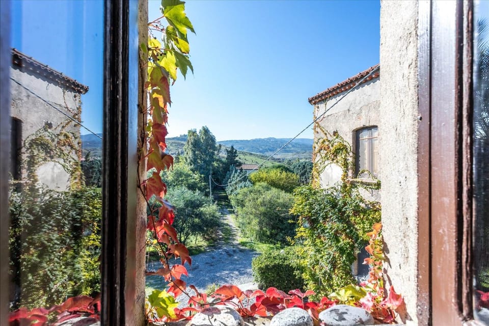 View from Holiday Home [summer]