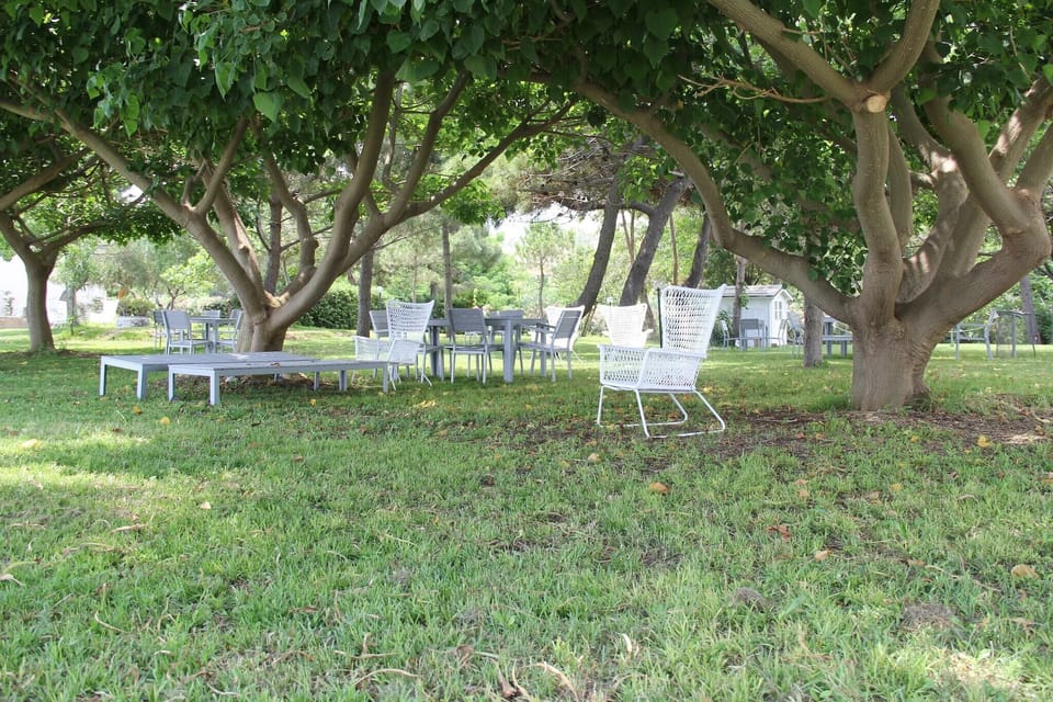 Garden [summer]