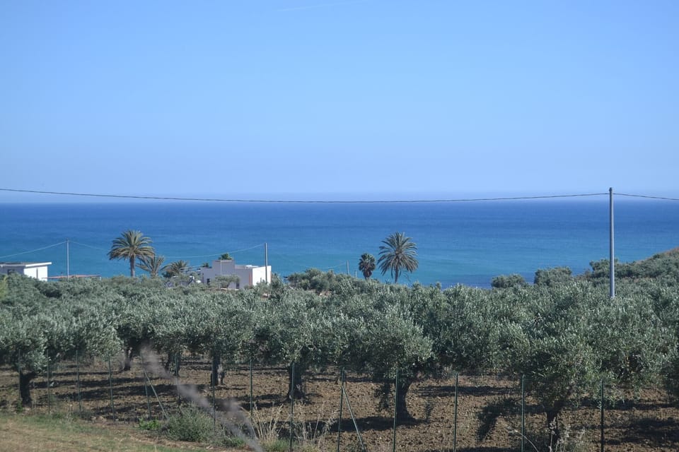 Immediate Surroundings [summer] (<1 km)
