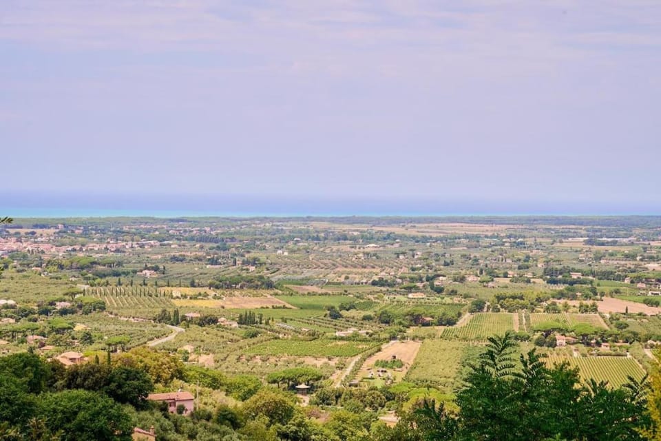 Region [summer] (>5 km)