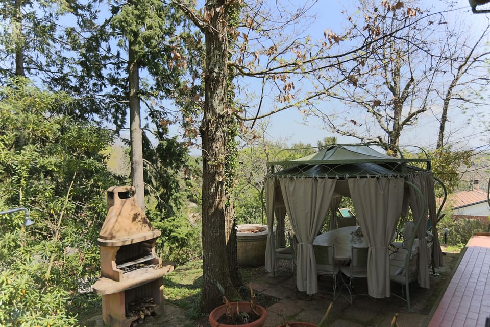 Garden [summer]
