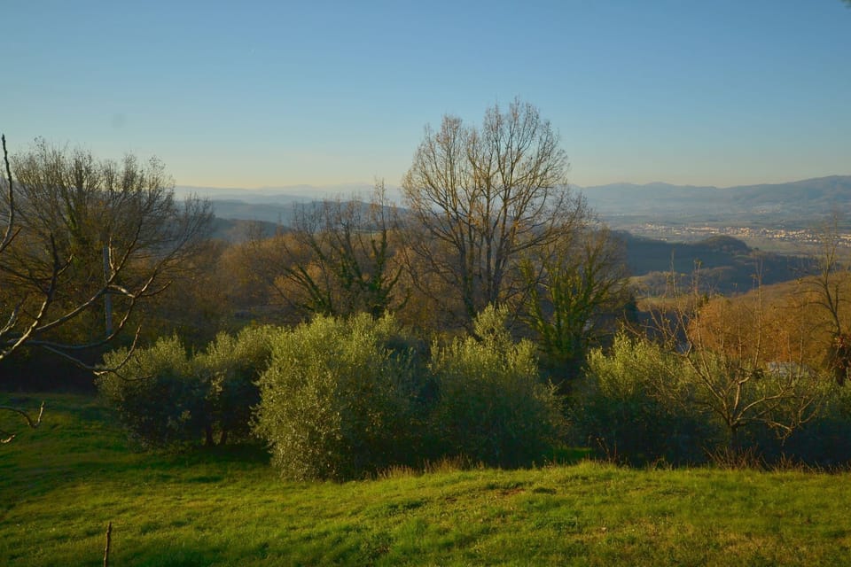 View from Holiday Home [summer]