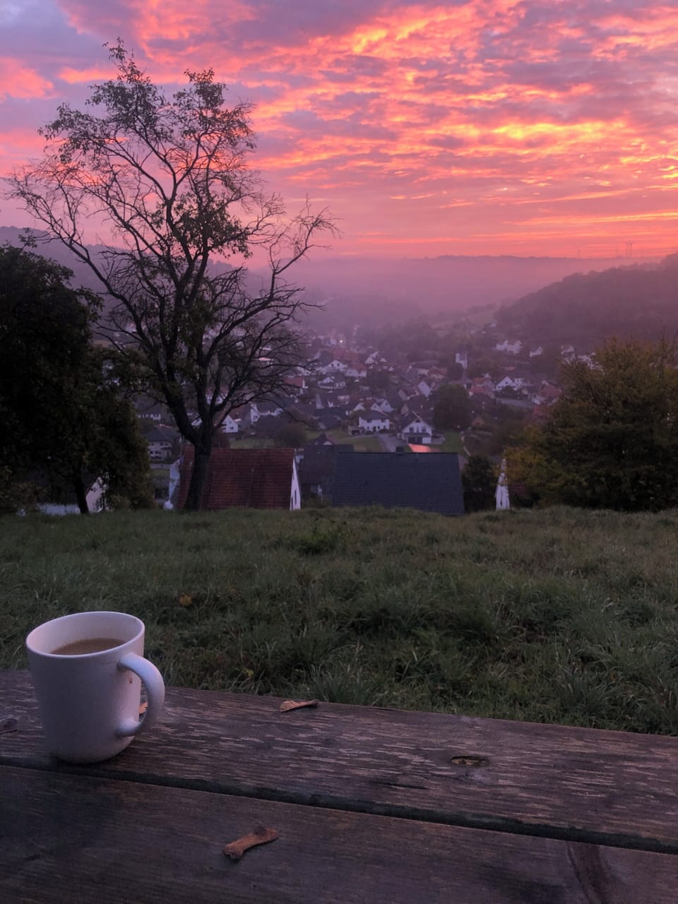 View from property