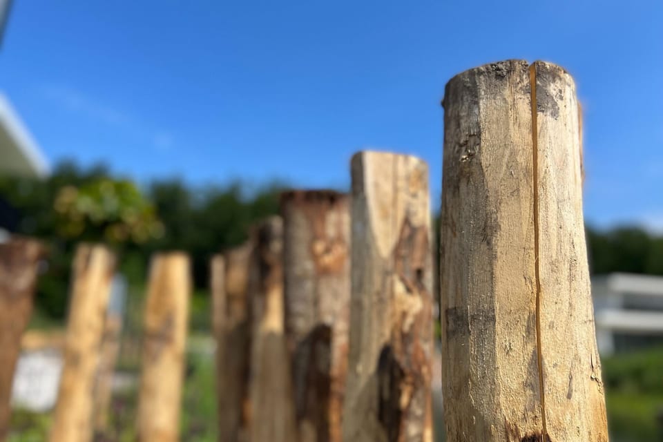 Ambiance / Close-up