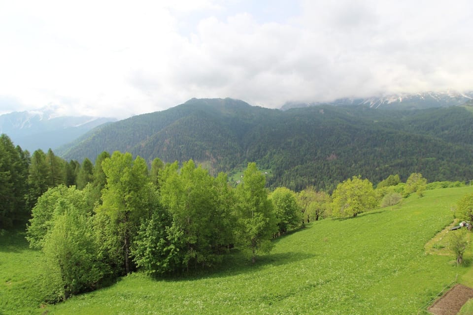 View from Holiday Home [summer]