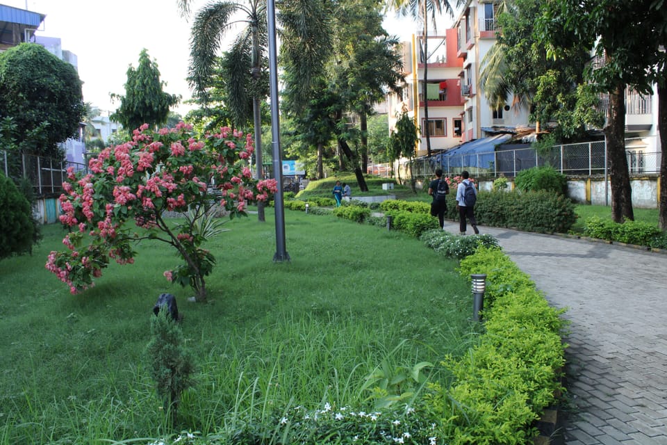 This is the green Verge very adjacent to our accomodation -  place for strolling