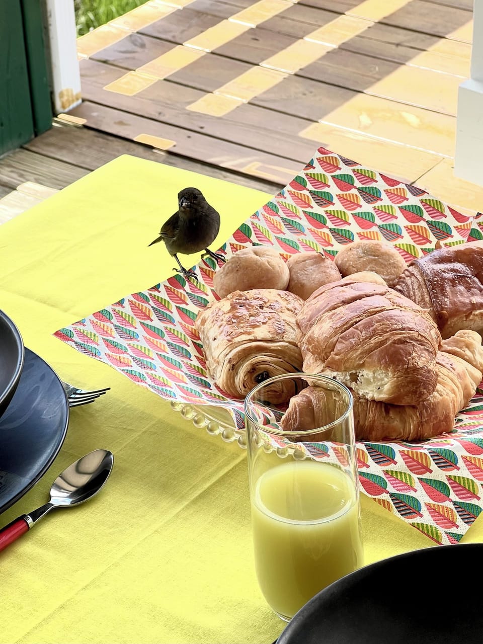 Breakfast meal