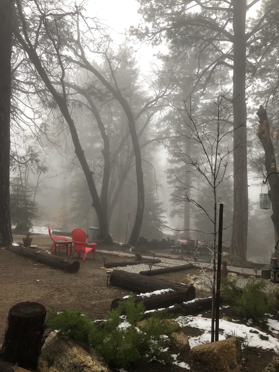 the mist in pine cove is incredible