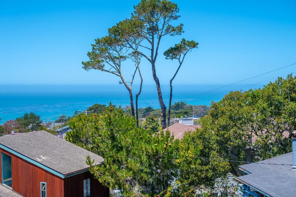 Trees and ocean.
