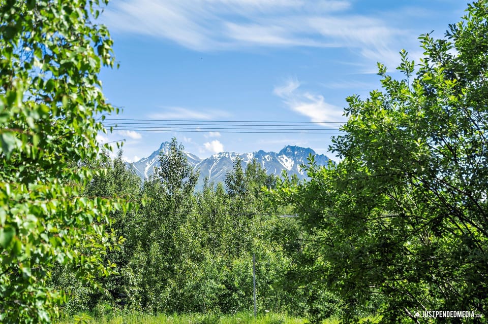 Wake up to a gorgeous view of Matanuska Peak out of the 2nd story window.