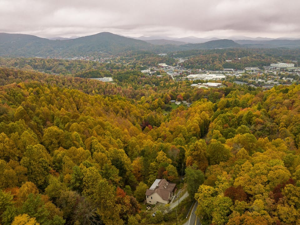 Surrounded by trees but close to all things Boone. 