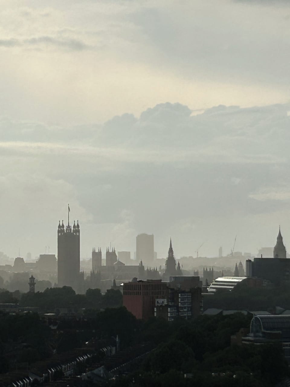 View from the living room 