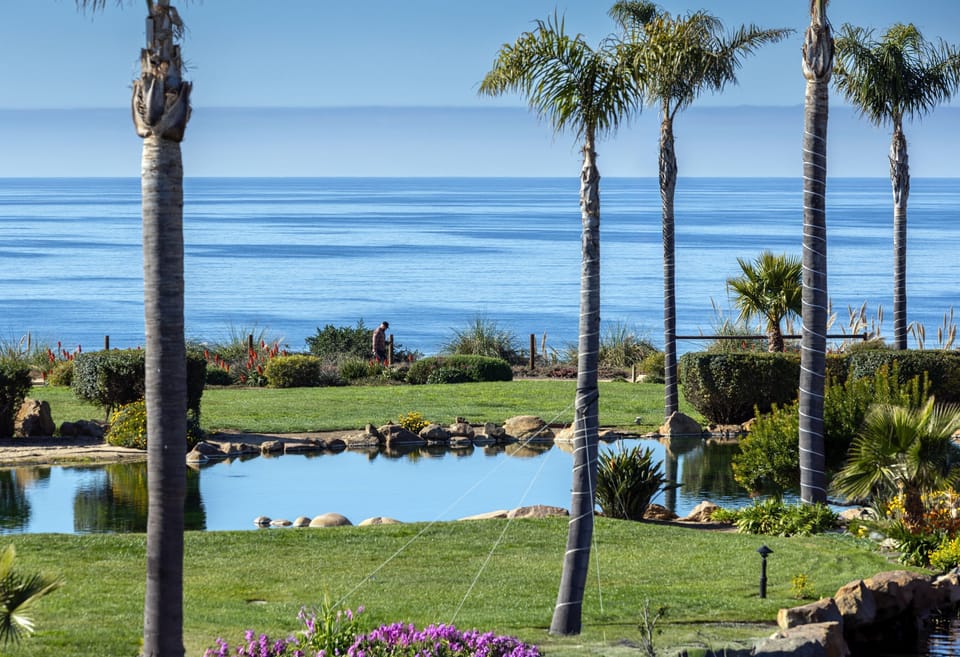 South Bluff Pond and Ocean View