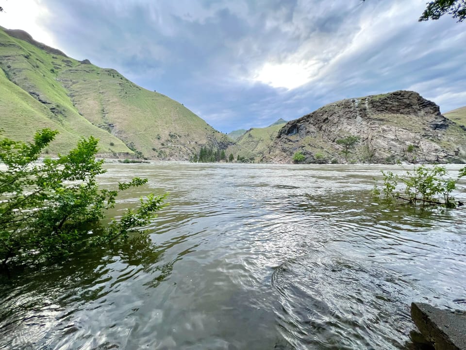 Salmon river