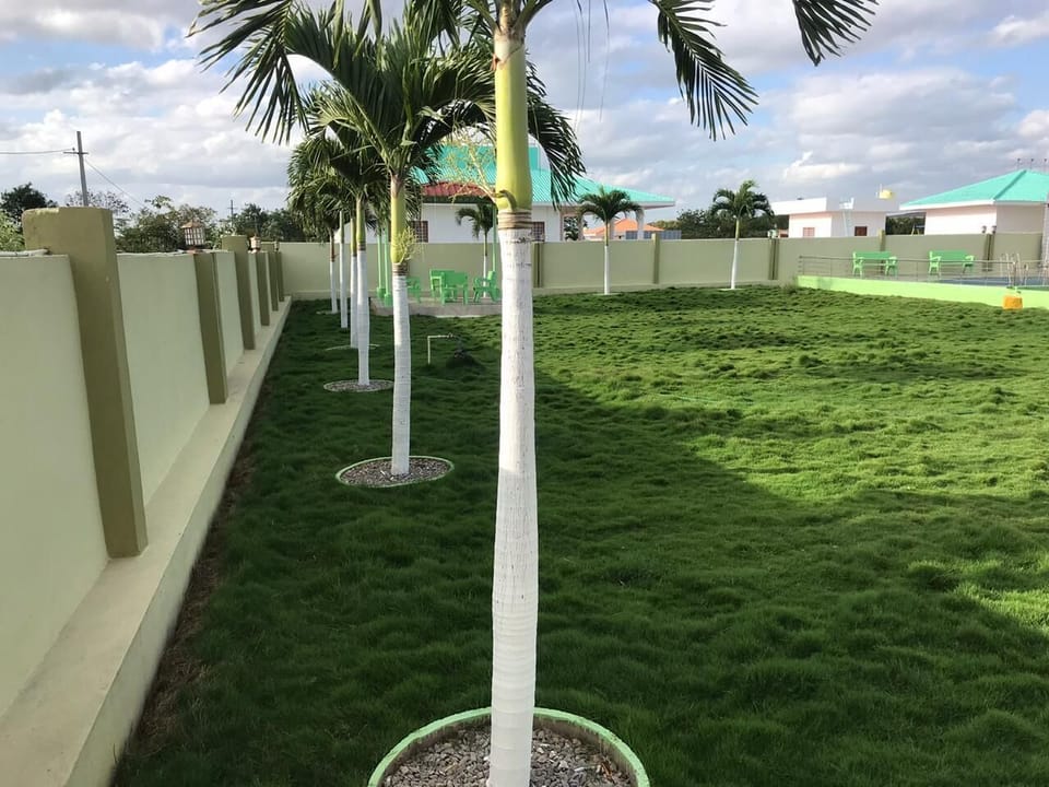 Green Lawn