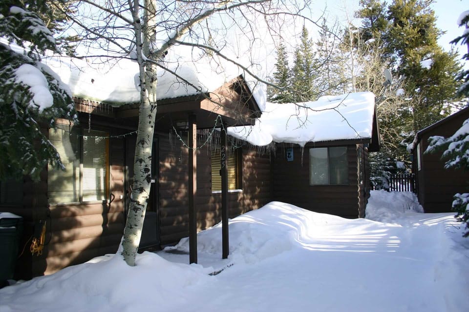 Bear front winter